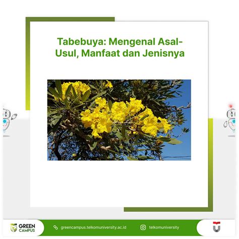 Mengenal Asal.